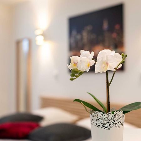 Citycosy Strasbourg - Studio Hirtz Orangerie Dış mekan fotoğraf